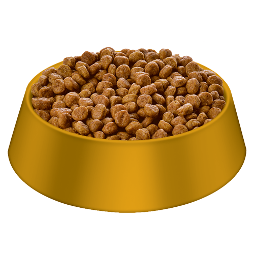 comida de perro